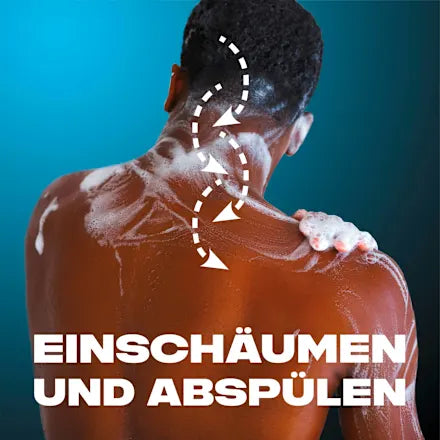 AXE GEL DOUCHE ALASKA Soin 3-en-1 : Corps, Visage ; Cheveux (250 ml)