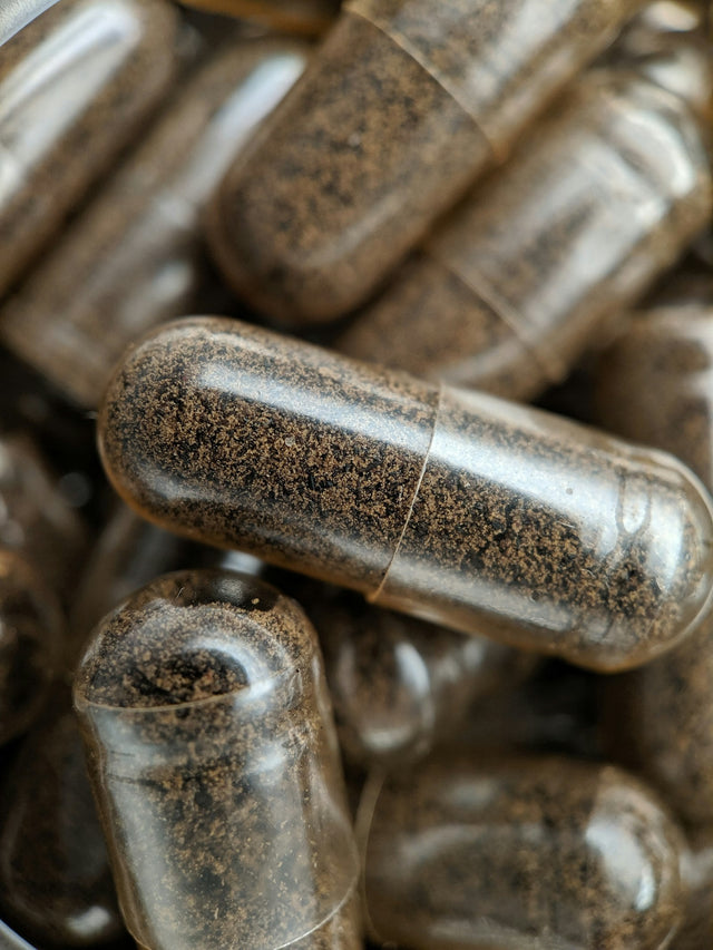 Métronidazole : amibes, giardia, infections intimes, comment agit ce médicament très utilisé