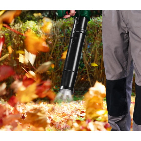 Parkside Souffleur Essence PBLG 52