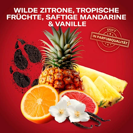 Old Spice Wolfthorn Gel Douche Soin 3-en-1 : Corps, Cheveux et Visage (250ml)