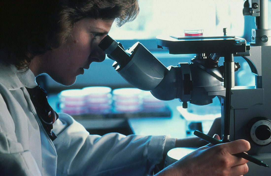 Chercheur au microscope